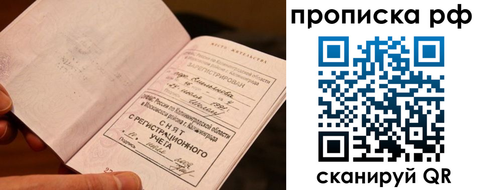 прописка гарантия в Алексеевке